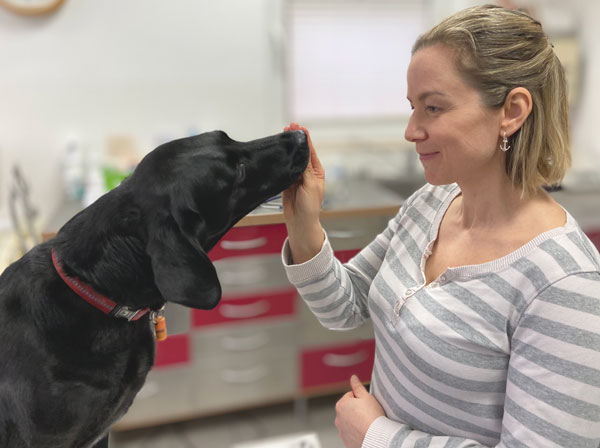 Verhaltenstherapie an Haustier